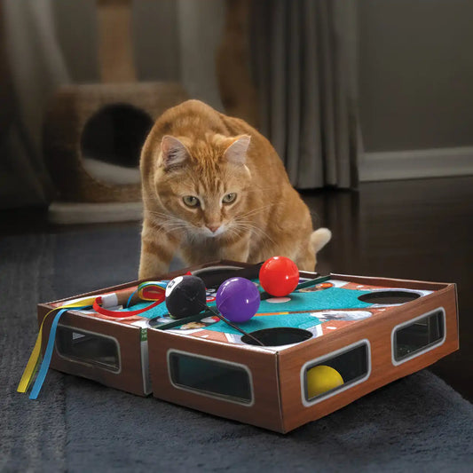 Playground Pool Table