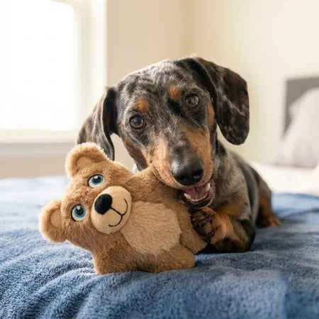 Snuzzles Kiddos Teddy Bear