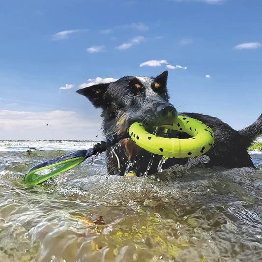 Reflex Tug